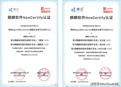 博云微服務產品與麒麟軟件完成兼容互認證，共筑國產化云原生生態